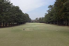 フレンドシップカントリークラブ HOLE17-2