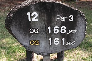 龍ヶ崎カントリー倶楽部 HOLE12-1