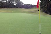 龍ヶ崎カントリー倶楽部 Vol2  HOLE13-5