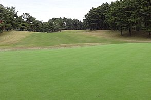 龍ヶ崎カントリー倶楽部 Vol2  HOLE14-3