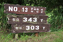 鷹ゴルフ倶楽部 NO13ホール-1