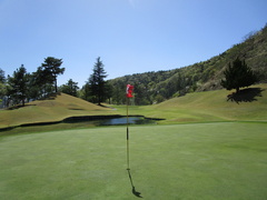 春日居ゴルフ倶楽部 41 /