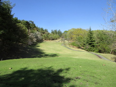 春日居ゴルフ倶楽部 8 /