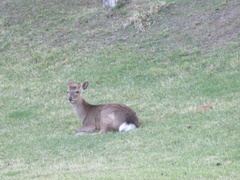 春日居ゴルフ倶楽部 53 /