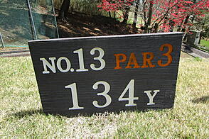 春日居ゴルフ倶楽部 NO13 ホール-1
