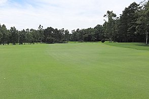 軽井沢ゴルフ倶楽部 HOLE14-3