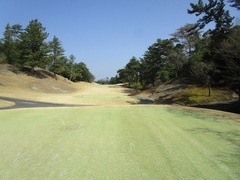 南山カントリークラブ 14 /