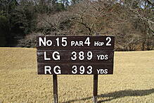 南山カントリークラブ NO15 ホール-1