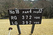 南山カントリークラブ NO18 ホール-1