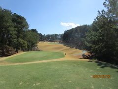 有馬ロイヤルゴルフクラブ 44 /