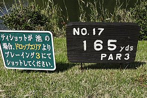 播州東洋ゴルフ倶楽部 HOLE17-1