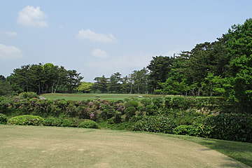 廣野ゴルフ倶楽部 14 /