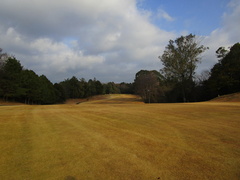 飛鳥カンツリー倶楽部 21 /