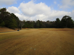 飛鳥カンツリー倶楽部 22 /
