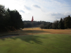 飛鳥カンツリー倶楽部 28 /