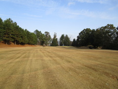 飛鳥カンツリー倶楽部 33 /