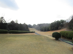 飛鳥カンツリー倶楽部 45 /