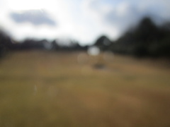 飛鳥カンツリー倶楽部 46 /