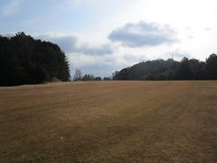 飛鳥カンツリー倶楽部 50 /