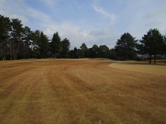 飛鳥カンツリー倶楽部 3 /