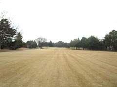 飛鳥カンツリー倶楽部 21 /