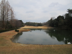 飛鳥カンツリー倶楽部 32 /