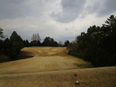 飛鳥カンツリー倶楽部 38 /