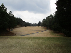 飛鳥カンツリー倶楽部 44 /