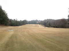 飛鳥カンツリー倶楽部 45 /