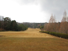 飛鳥カンツリー倶楽部 50 /