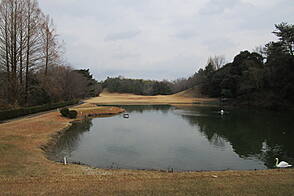 飛鳥カンツリー倶楽部 NO6 ホール-2