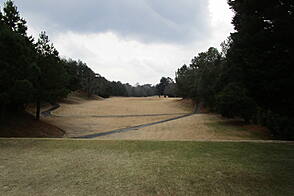 飛鳥カンツリー倶楽部 NO8 ホール-2