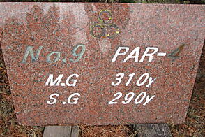 飛鳥カンツリー倶楽部 NO9 ホール-1