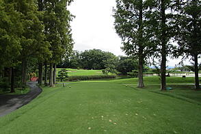 奈良国際ゴルフ倶楽部 NO8 ホール-2