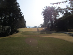 奈良国際ゴルフ倶楽部 8 /