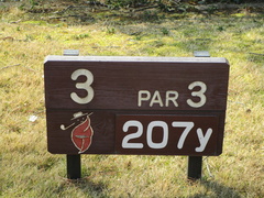 奈良国際ゴルフ倶楽部 13 /