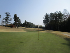 奈良国際ゴルフ倶楽部 15 /