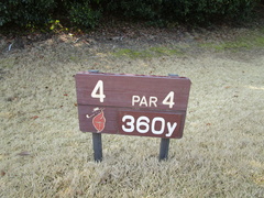 奈良国際ゴルフ倶楽部 19 /