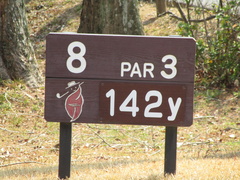 奈良国際ゴルフ倶楽部 43 /