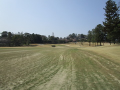 奈良国際ゴルフ倶楽部 51 /