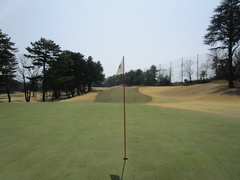 奈良国際ゴルフ倶楽部 5 /