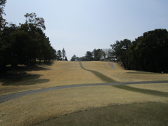 奈良国際ゴルフ倶楽部 14 /