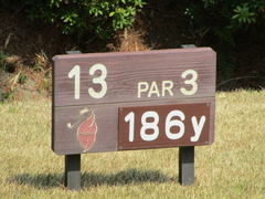 奈良国際ゴルフ倶楽部 19 /