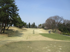奈良国際ゴルフ倶楽部 38 /