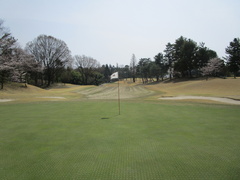 奈良国際ゴルフ倶楽部 39 /
