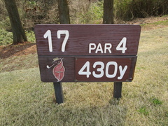 奈良国際ゴルフ倶楽部 43 /