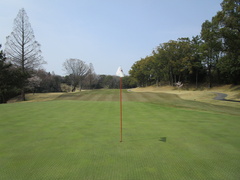 奈良国際ゴルフ倶楽部 46 /