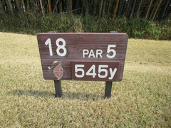 奈良国際ゴルフ倶楽部 49 /