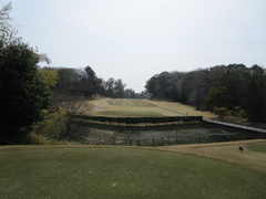 奈良国際ゴルフ倶楽部 50 /