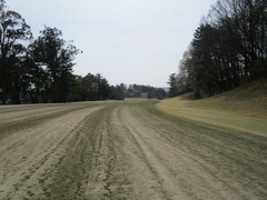 奈良国際ゴルフ倶楽部 51 /